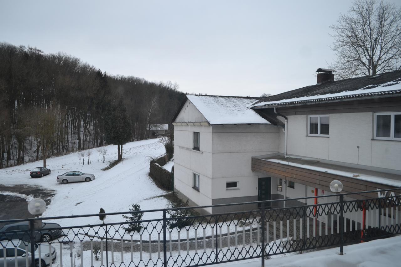 Pension Waldesruh Линц Экстерьер фото